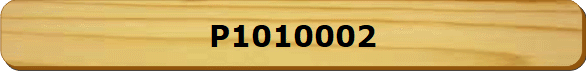 P1010002