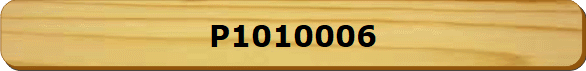 P1010006