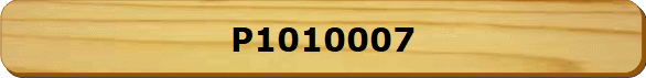P1010007