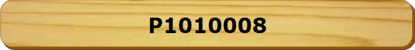P1010008